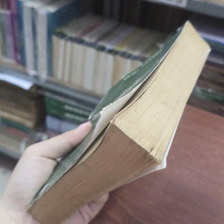CHÚA TỂ ĐẦM LẦY - MICHEL TOURNIER (BỬU Ý DỊCH)