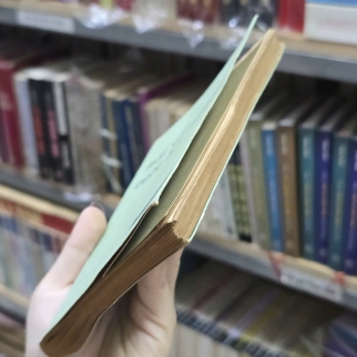 NÓI VỚI TUỔI HAI MƯƠI - NHẤT HẠNH 
