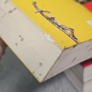 BỐ GIÀ, CHA CON GIÁO HOÀNG, ÔNG TRÙM CUỐI CÙNG - MARIO PUZO
