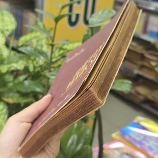 TRIẾT LÝ VĂN HOÁ KHÁI LUẬN - NGUYỄN ĐĂNG THỤC
