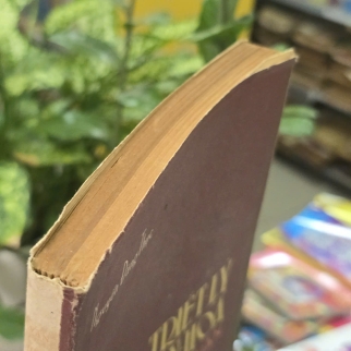 TRIẾT LÝ VĂN HOÁ KHÁI LUẬN - NGUYỄN ĐĂNG THỤC