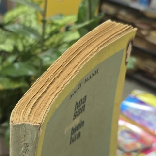 HOA SEN TRONG BIỂN LỬA - NHẤT HẠNH 